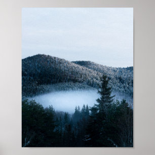 Poster Brouillard mystérieux piégé dans une forêt de sapi