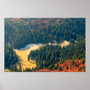 Poster Brouillard roulant sur un champ d'automne solitair