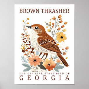 Poster Brown Thrasher Bird of Georgia USA Travel