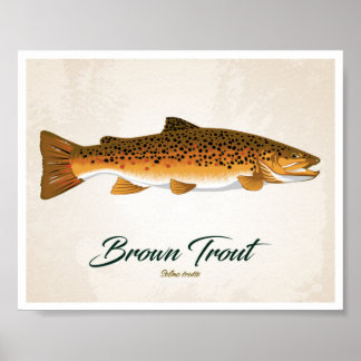 Poster Brown Trout