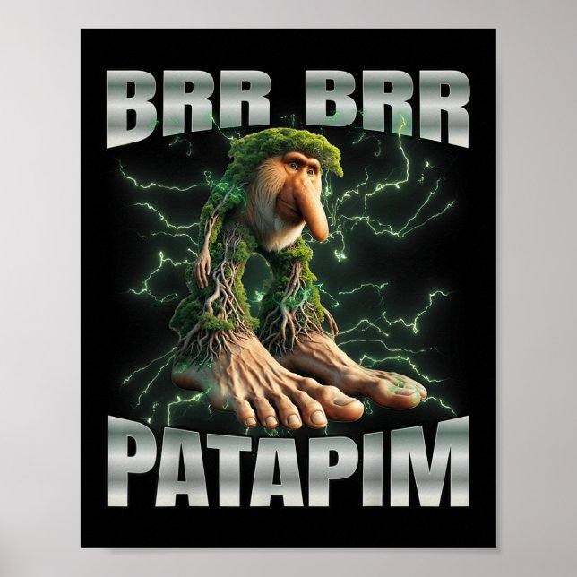 Poster Brr Brr Patapim (Devant)