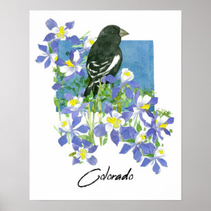 Poster Bruant de Lark du Colorado Columbine Fleurs de Mon