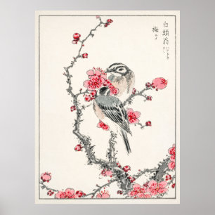 Poster Bruant des pins sur prunier par Numata Kashu