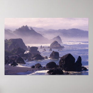 Poster Bruant matinal le long de la côte de l'Oregon près