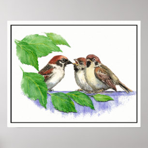 Poster Bruant, Oiseau, Jardin, Nature animale