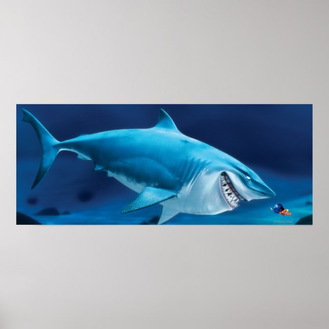 Poster Bruce, Nemo et Dory 1 (Devant)
