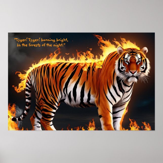 Poster Brûlage du tigre (Devant)