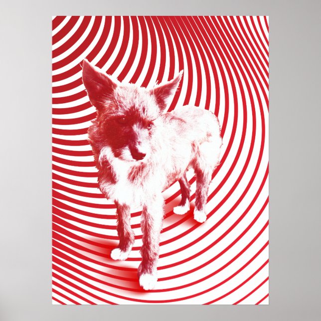 Poster brume folle (Devant)