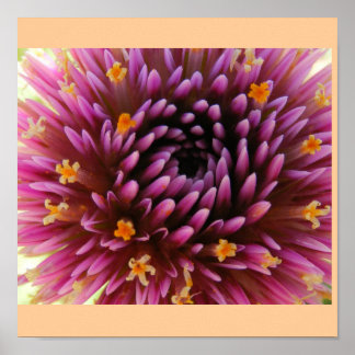 Poster Brume pourpre