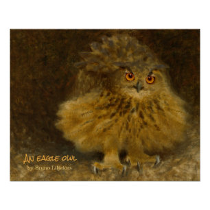 Poster Bruno Liljefors Aigle-owl 1905 CC1176 Faune