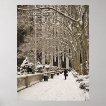 Bryant Park Neige