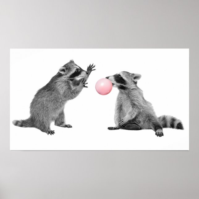 Poster Bubbles de Chewing-gum de Raton-laveur Mignon pour (Devant)