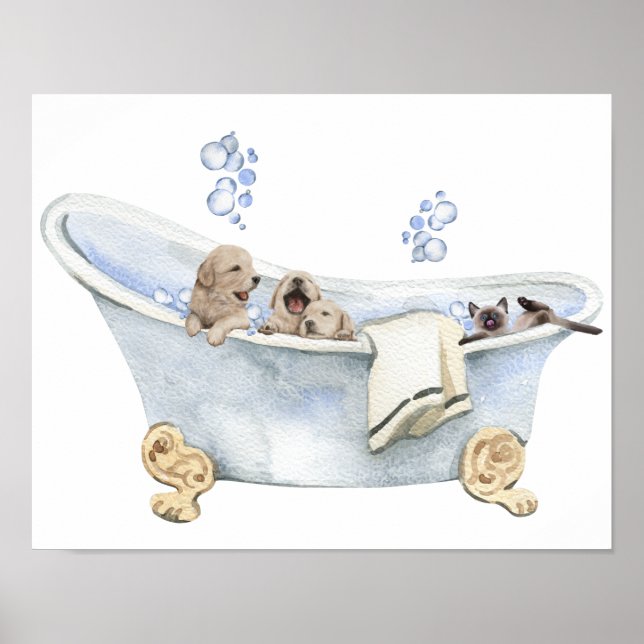 Poster Buble Bain Puppies Kitten Baignoire Salle de bain (Devant)