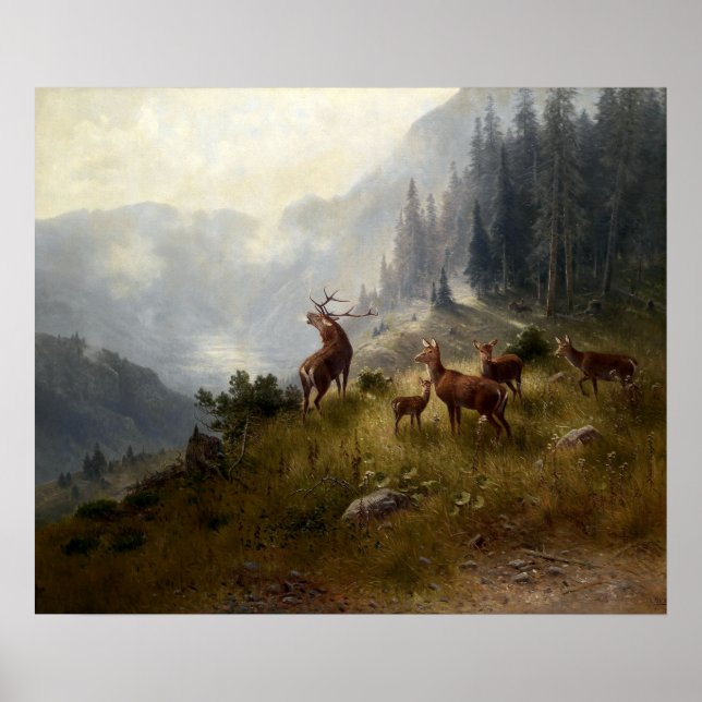 Poster Buck & Doe Deer Herd Dans Le Paysage Forestier Art (Devant)