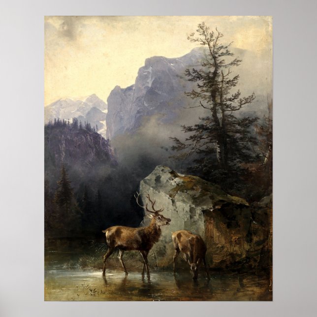 Poster Buck & Doe Deer In Forest Art (Devant)