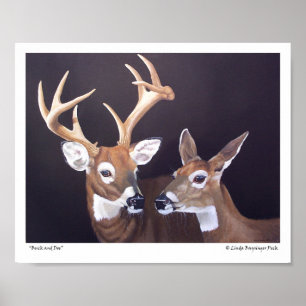 Poster Buck et Doe Deer