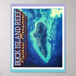 POSTER BUCK ISLAND REEF - VIRGIN ISLANDS ÉTATS-UNIS