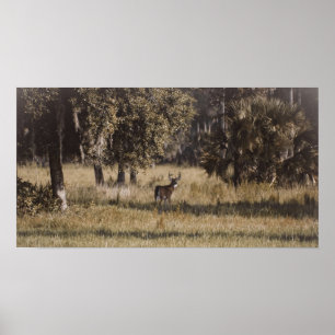 Poster Buck sous les chênes