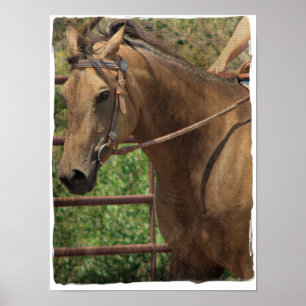 Poster Buckskin Western