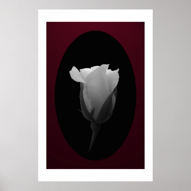 Poster Bud rose (noir et blanc) (Devant)