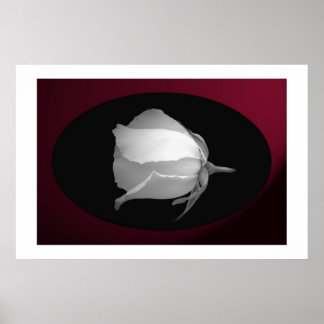 Poster Bud rose (noir et blanc)