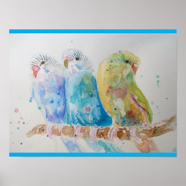 Poster Budgie Aquarelle Peinture d'oiseau Budgies Aqua Tu (Devant)