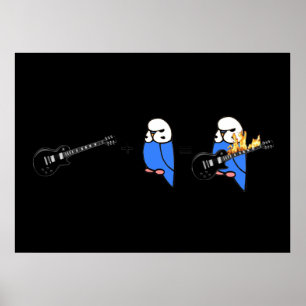 Poster Budgie Math