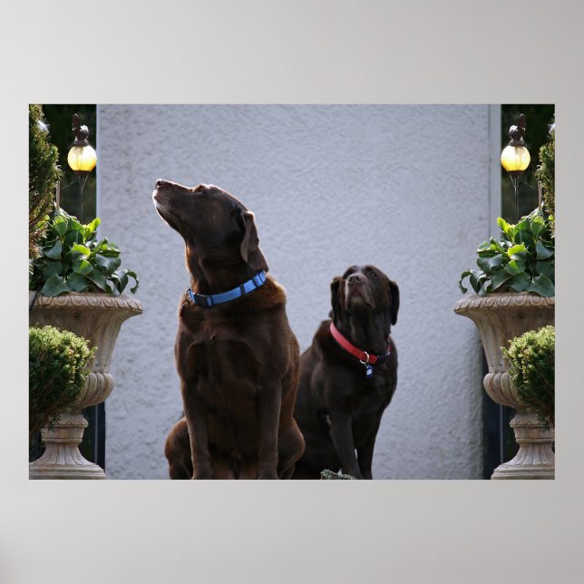 Poster "Buds", Laboratoires de chocolat (Devant)