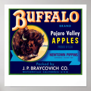 Poster Buffalo Apples
