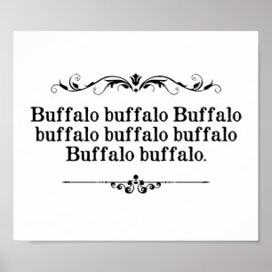 Poster Buffalo Buffalo Sentence