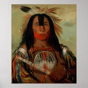 Poster Buffalo Bull's Back Fat Head Chief Blood Tribe
