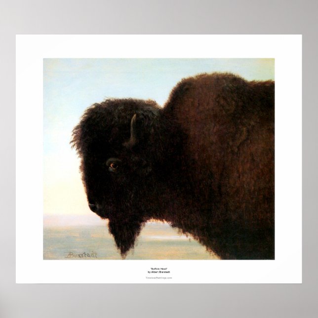 Poster Buffalo Head Art Albert Bierstadt peinture de biso (Devant)