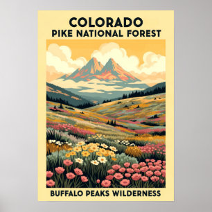 Poster Buffalo Peaks Wilderness V01