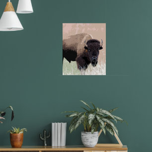 Poster Buffle / Bison