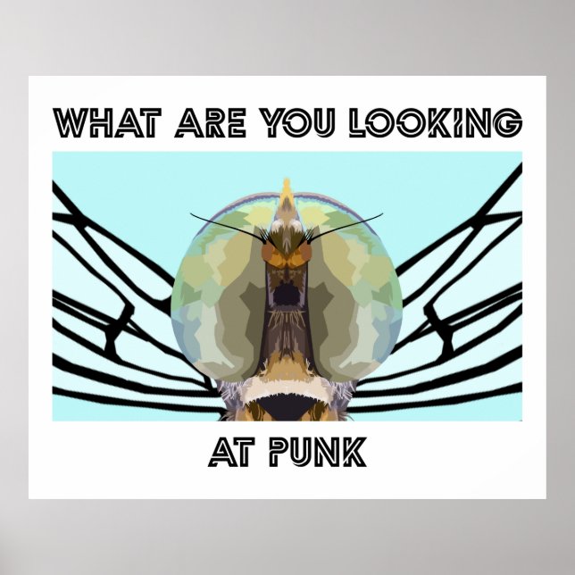 POSTER BUG 1 (Devant)