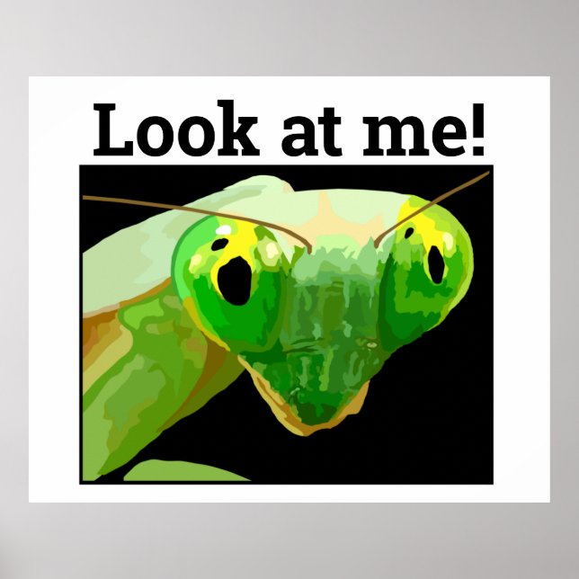 POSTER BUG 3 (Devant)