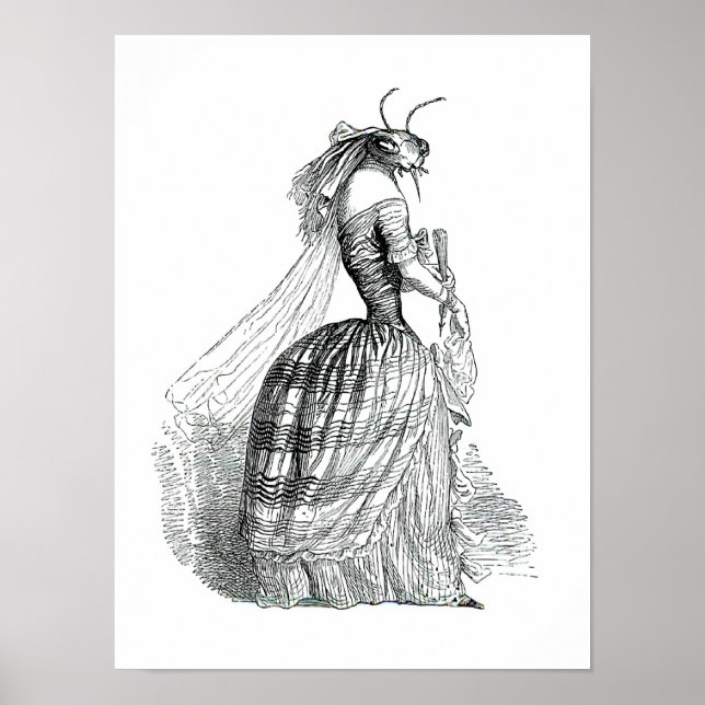 Poster Bug Busten (Devant)