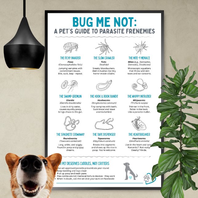 Poster Bug Me Not - Le guide de l'animal de compagnie sur (Créateur téléchargé)