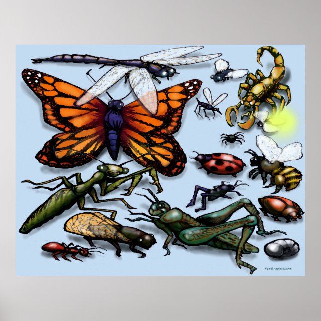 Poster Bugs (Devant)