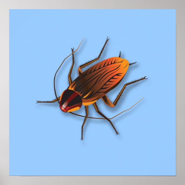 Poster Bugzeez_Le Roach ardent en bleu poudre (Devant)