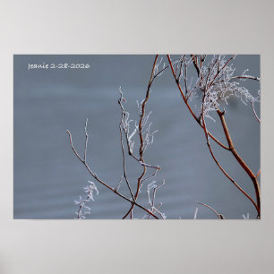 Poster Buisson givré