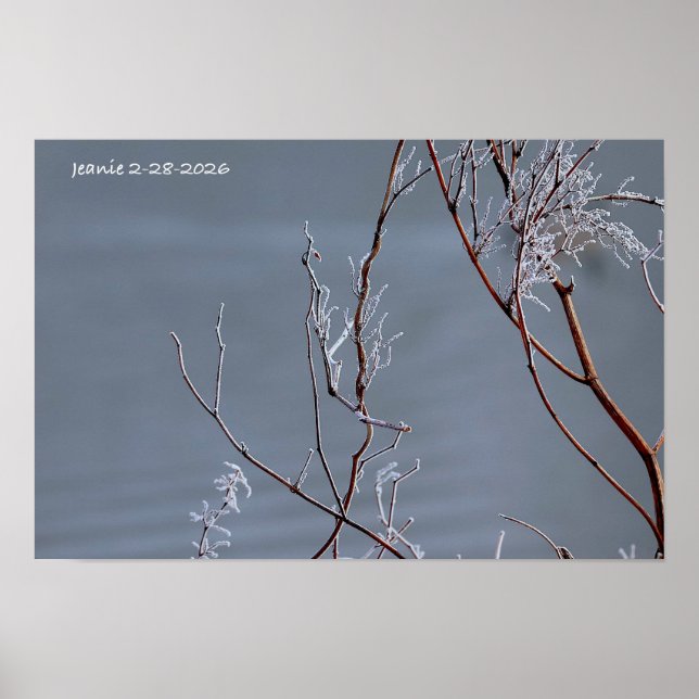 Poster Buisson givré (Devant)