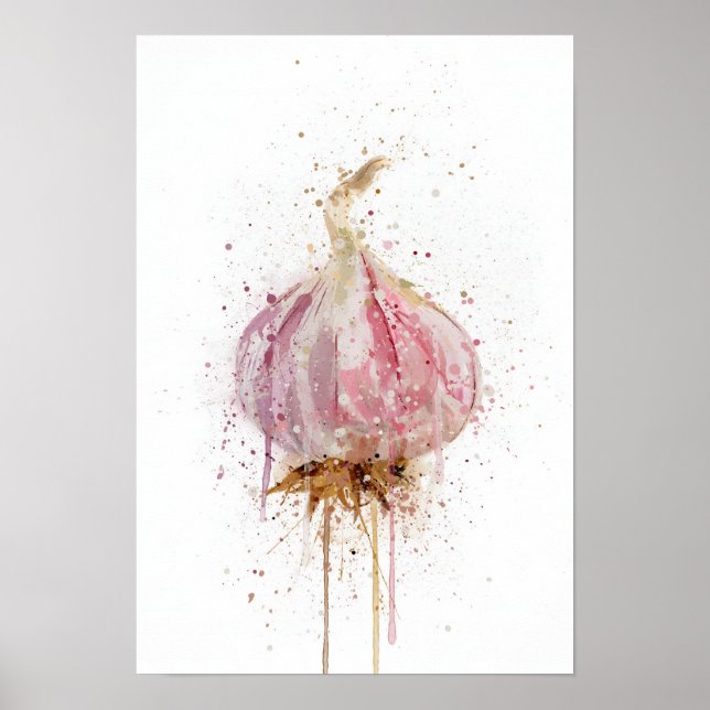 Poster Bulbe d'ail légume (Devant)