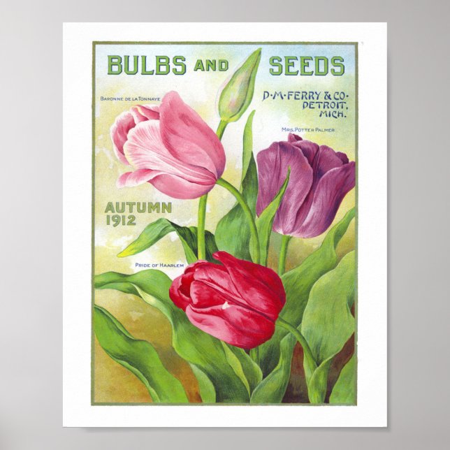 Poster Bulbes et semences 1912 (Devant)