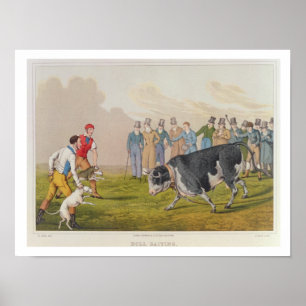 Poster 'Bull Baiting', pub.de Thomas McLean, 1820, (impri