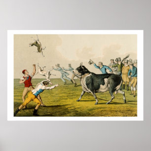 Poster "Bull Baiting", pub. de Thomas McLean, 1820, (prin