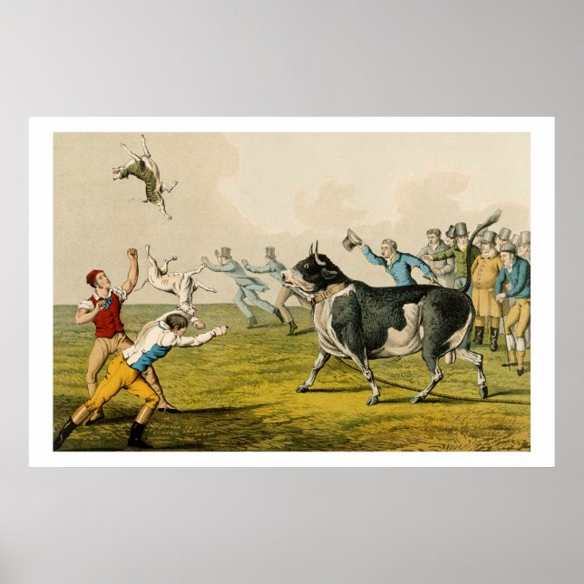 Poster "Bull Baiting", pub. de Thomas McLean, 1820, (prin (Devant)