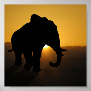 Poster Bull éléphant