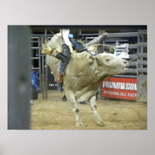 Poster Bull Riding Action