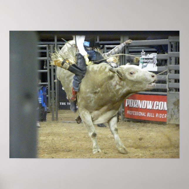 Poster Bull Riding Action (Devant)